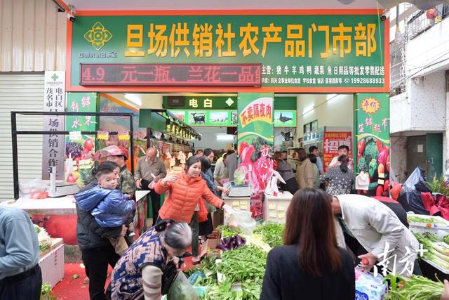 平價新鮮，從田間到餐桌——茂名電白供銷系統打造不隔夜生鮮超市